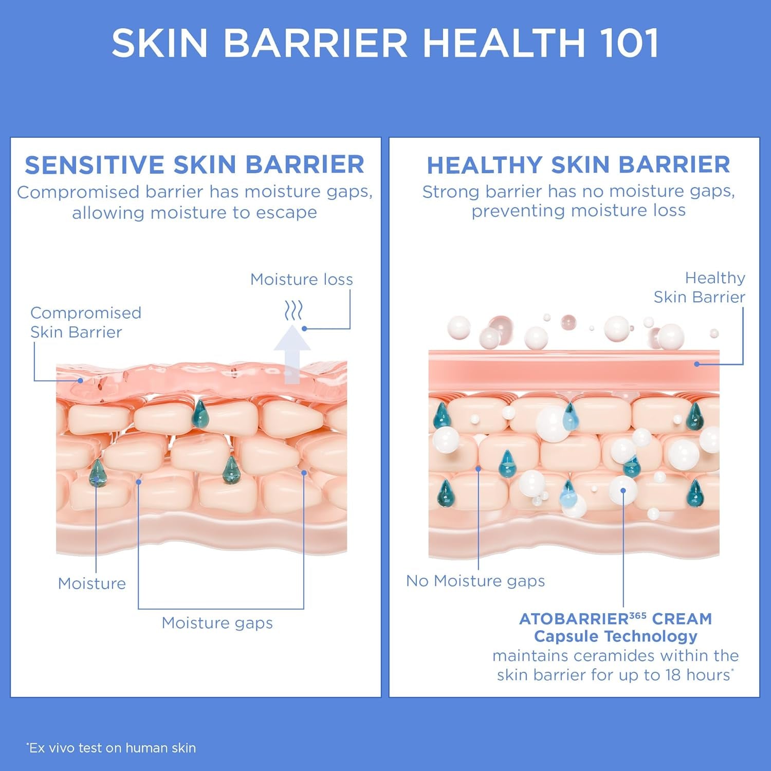 ATOBARRIER365 Cream with Ceramide, Korean Moisturizer for Barrier Repair | 120-Hour Lasting Hydration, Capsuled Ceramides for Dry & Sensitive Skin, Non-Comedogenic Tested, 2.70 Fl.Oz.(Renewed)